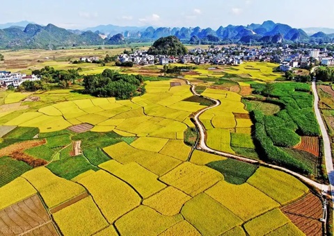 强化“指挥棒”作用&nbsp;&nbsp;柳州市发放500万元耕地；ぁ凹だ彀