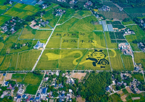 成都颁布耕地；す婊〗10年这样筑牢“天府粮仓”根基