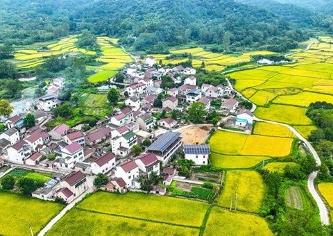 安徽省天然资源厅：130个乡镇耕地；こ删屯蛊 获赔偿激励1.3亿元