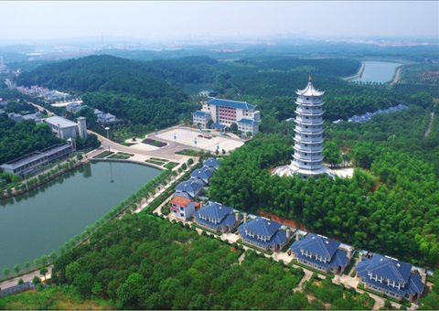 湖北：用好“一张图” ，智治有支持