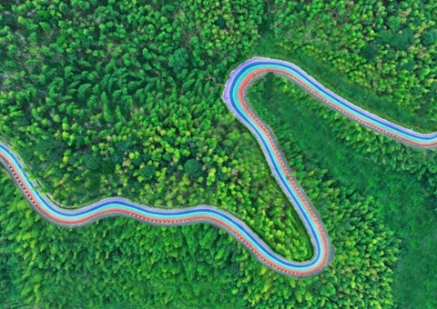 组合供给出新招，竹海收益节节高——桃江县“桃花江竹海”天然资源资产组合供给推动生态产品价值实现案例