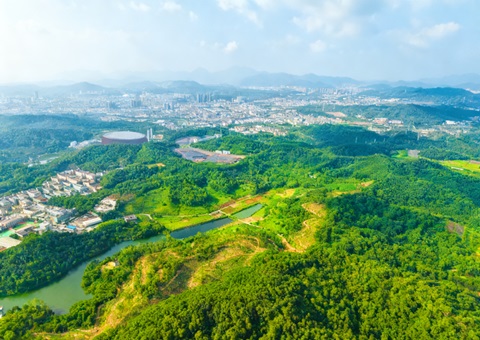 2026年深圳首批地皮整治规划获批，龙岗将打造高度城市化地域整治样板