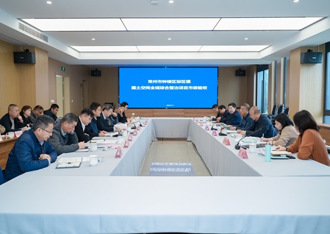江苏省首个河山空间全域整治项目圆满通过整履历收