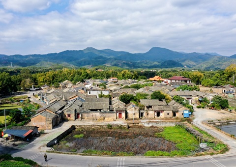 全国首单林业生态指数保险落地河源东源
