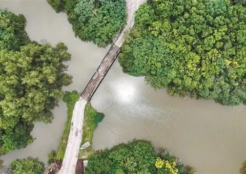 广州迎来海洋生态产品价值实现的首个落地实际<br>红树林“卖空气”成交10.5万元
